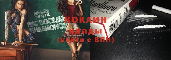 индика Абинск