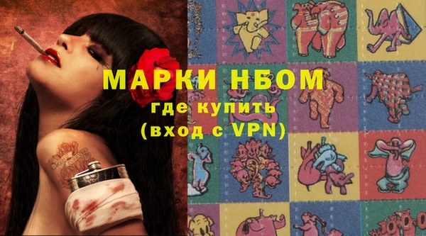 индика Абинск