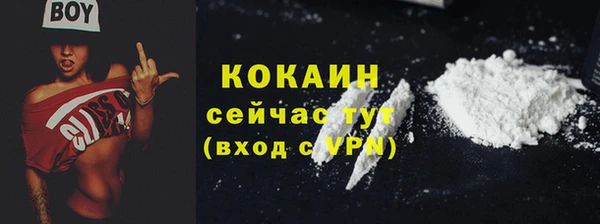 индика Абинск